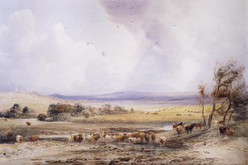 Peter Dewint View on the Lowther,with Cattle in the Water Spain oil painting art